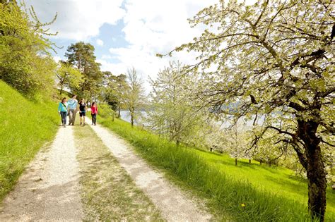 The Top Hiking Trails in Bodensee