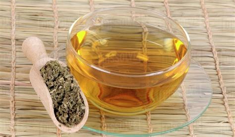 What is Mugwort Tea? A Comprehensive Guide to Its Benefits and Uses