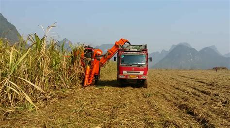 Sugarcane Harvester / Sugarcane Reap Machine / Sugar Cane Cutting Machine - Buy Sugarcane ...