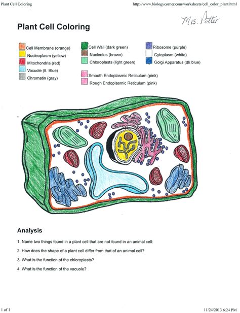 Plant Cell Coloring Worksheet Key — db-excel.com