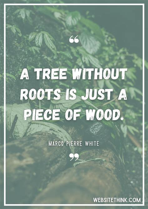 73+ Wise & Insighful Quotes About Roots! 🥇 [+ Images]