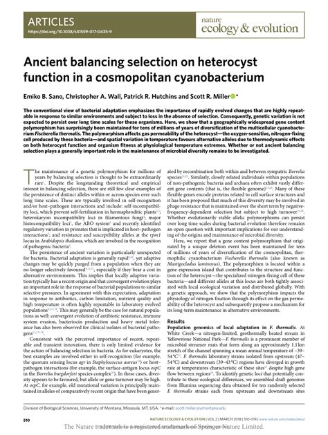 Ancient balancing selection on heterocyst function in a cosmopolitan ...