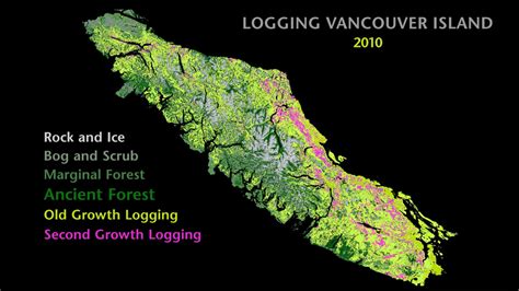 Maps Showing the Disappearance of Old-Growth Forests on Vancouver ...