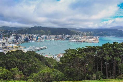 View Over the Capital Wellington from Mount Victoria, North Island, New Zealand Stock Photo ...