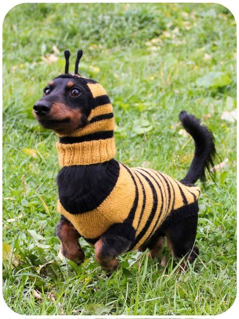 KNITTING PATTERN BUNDLE, Dog Bee Costume, Bee Bundle, Dachshund Costume ...