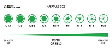 What is Aperture? (And Why it Matters in Photography!)