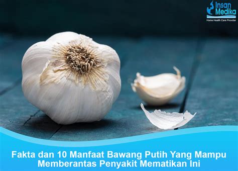 10 Manfaat Bawang Putih Yang Mampu Memberantas Penyakit Mematikan Ini