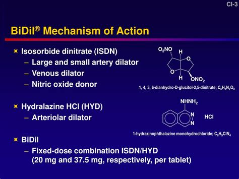 PPT - BiDil ® (isosorbide dinitrate/ hydralazine HCl) PowerPoint Presentation - ID:1284521