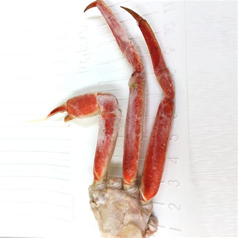 Frozen Alaskan Snow Crab Legs Jumbo Size | The Shrimp Net Fish Fresh ...