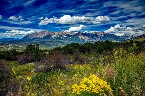 Where to See Wildflowers in Colorado Springs | Broadmoor Outfitters