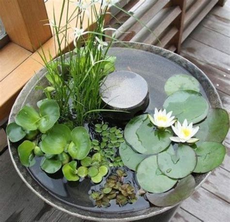 37 Coolest Container Water Gardens - Shelterness