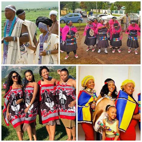 Where does the Nguni Tribe come from? – Clipkulture