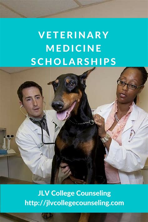 Veterinary Scholarships | JLV College Counseling