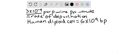 SOLVED: The spontaneous cleavage of adenine or guanine from DNA, a ...