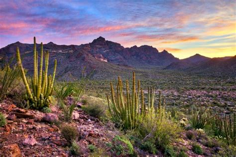 Tonto National Forest: A Camper's Guide