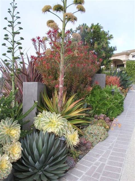 Xeriscape inspiration | Succulent landscape design, Drought tolerant ...