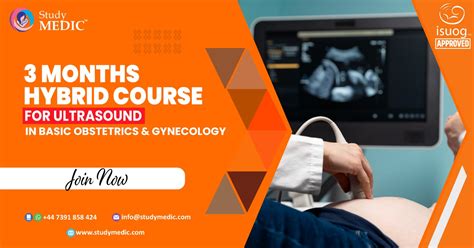 Ultrasound Course in Obstetrics and Gynecology - 3 Months Course