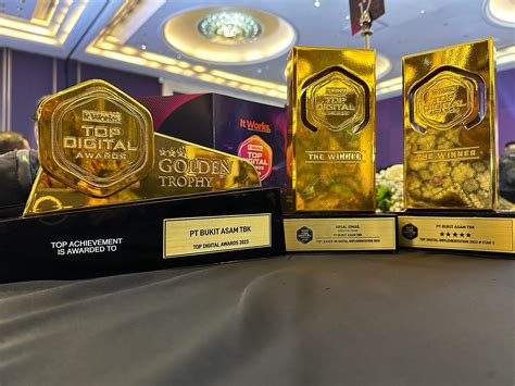 Bukit Asam (PTBA) Received 3 Awards at Top Digital Awards 2023 | PT ...