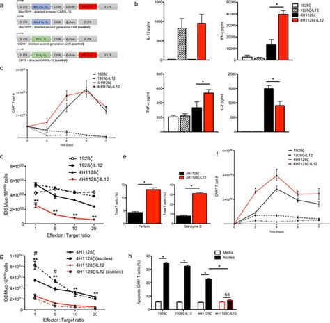 Armored CAR T cells enhance antitumor efficacy and overcome the tumor ...