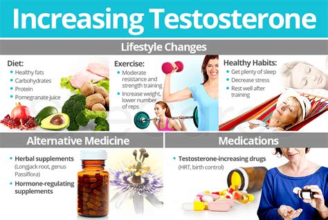 Increasing Testosterone Levels | SheCares