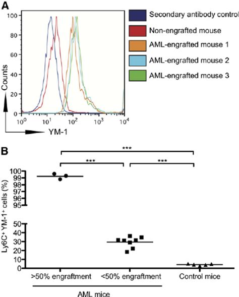 Monocytes from NOD-SCID mice engrafted with human AML express increased ...