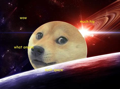 Doge Space Wallpaper - WallpaperSafari