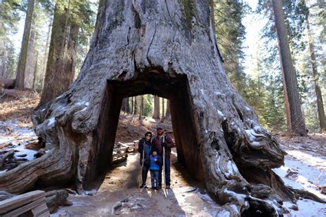 5 National Parks To Visit With Bay Area Kids Before They Grow Up - 510 Families