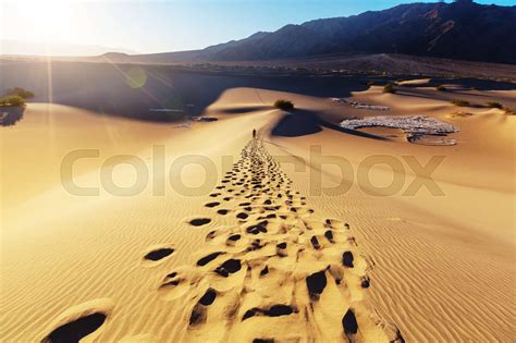 Hike in desert | Stock image | Colourbox