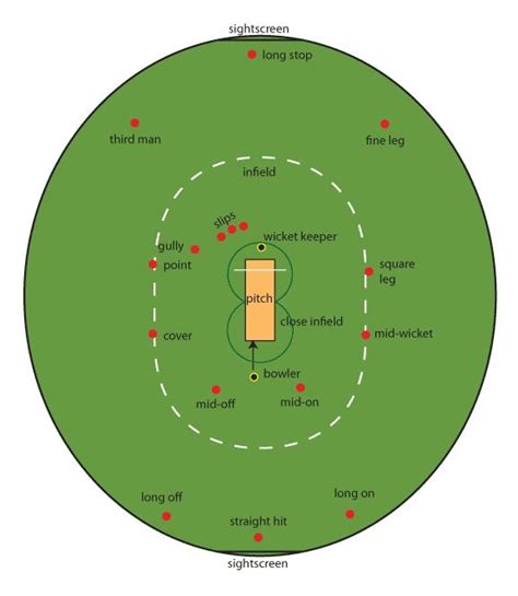 Cricket Stump Dimensions on Picterest | Cricket stump, Cricket coaching, Cricket