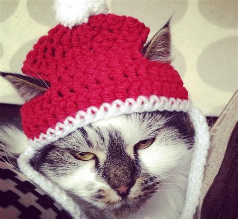 Patrón de ganchillo Descargar PDF // Sombreros de gorro de Navidad para gatos o perros pequeños ...