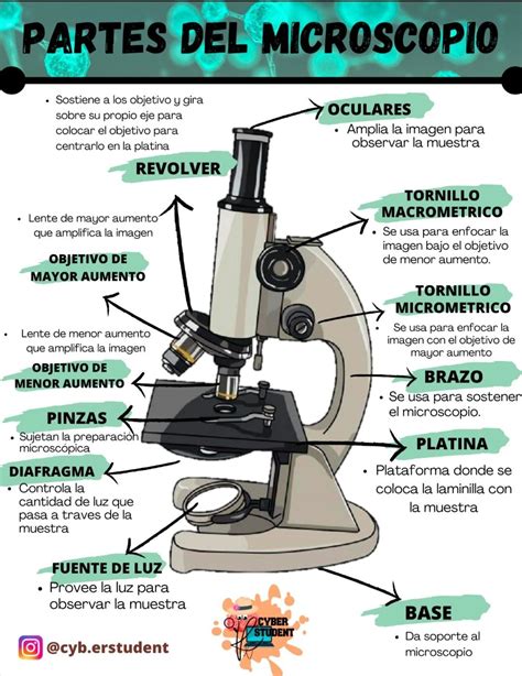 Partes del microscopio – Artofit