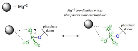 Phosphate Ion