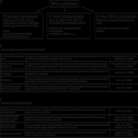 1 RNA production. ( a ) RNA synthesis can be performed either by ...