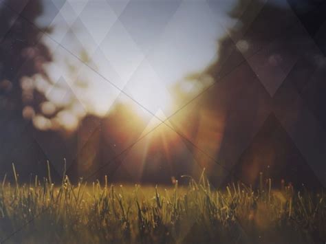 Nature Grass Field Worship Background | Clover Media