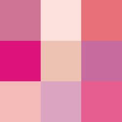 Shades of pink.png