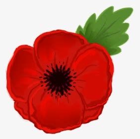 Poppy Png Black And White - Outline Flower Clipart, Transparent Png ...