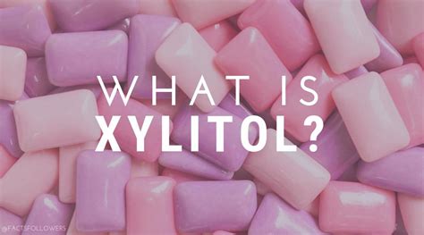 What is Xylitol? – Food Insight