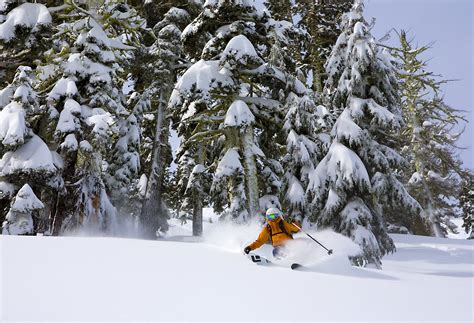 Alpine Meadows Discount Lift Tickets & Passes | Liftopia