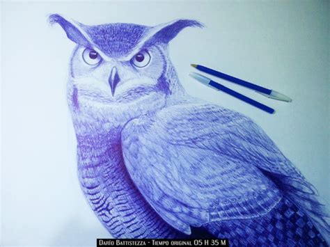 Realistic Owl with blue ballpoint pen by DareGB on Newgrounds
