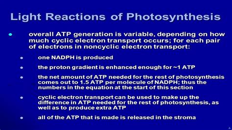 Basic Energy Yielding Mechanism of Chemoautotrophic & Photoautotrophi…