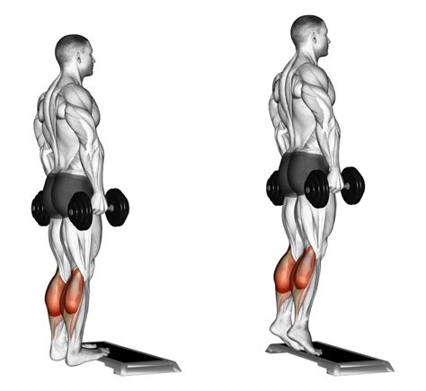 Dumbbell Standing Calf Raise Exercise Guide and Videos – Fitness Volt