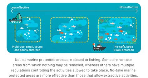 Marine Protected Area Infographic | Save Our Seas Magazine