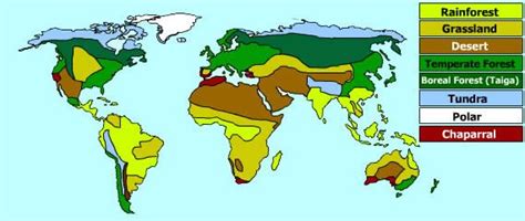 World Biomes | Interactive Map