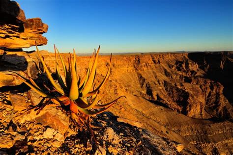 Fish River Canyon Facts - Location in Namibia, Hiking & More