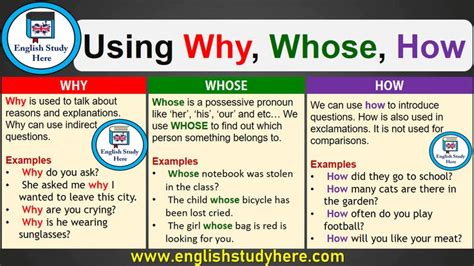 Using Why, Whose and How - English Study Here | English study, Learn english, Vocabulary lessons