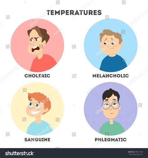 Sanguine Choleric Melancholic Phlegmatic Royalty-Free Images, Stock Photos & Pictures | Shutterstock