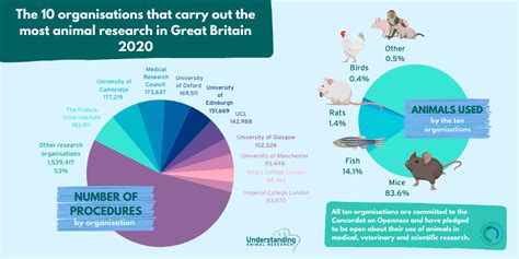 Animal Research Numbers in 2020