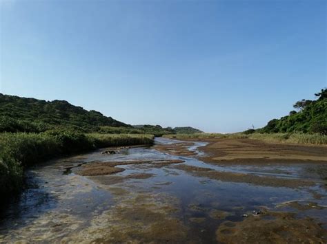 Umhlanga Lagoon Nature Reserve - 2021 All You Need to Know BEFORE You Go (with Photos) - Tripadvisor