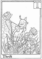 Flower Fairies Coloring Pages sketch template