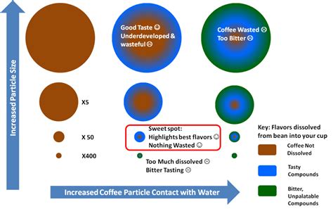 How to Avoid Bitter Coffee and Why it Exists in the First Place – a scientific look at brewing ...